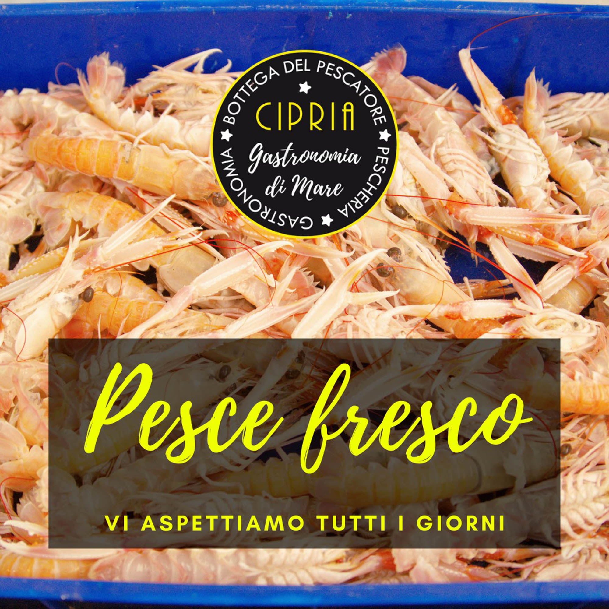 pesce fresco pesce fresco