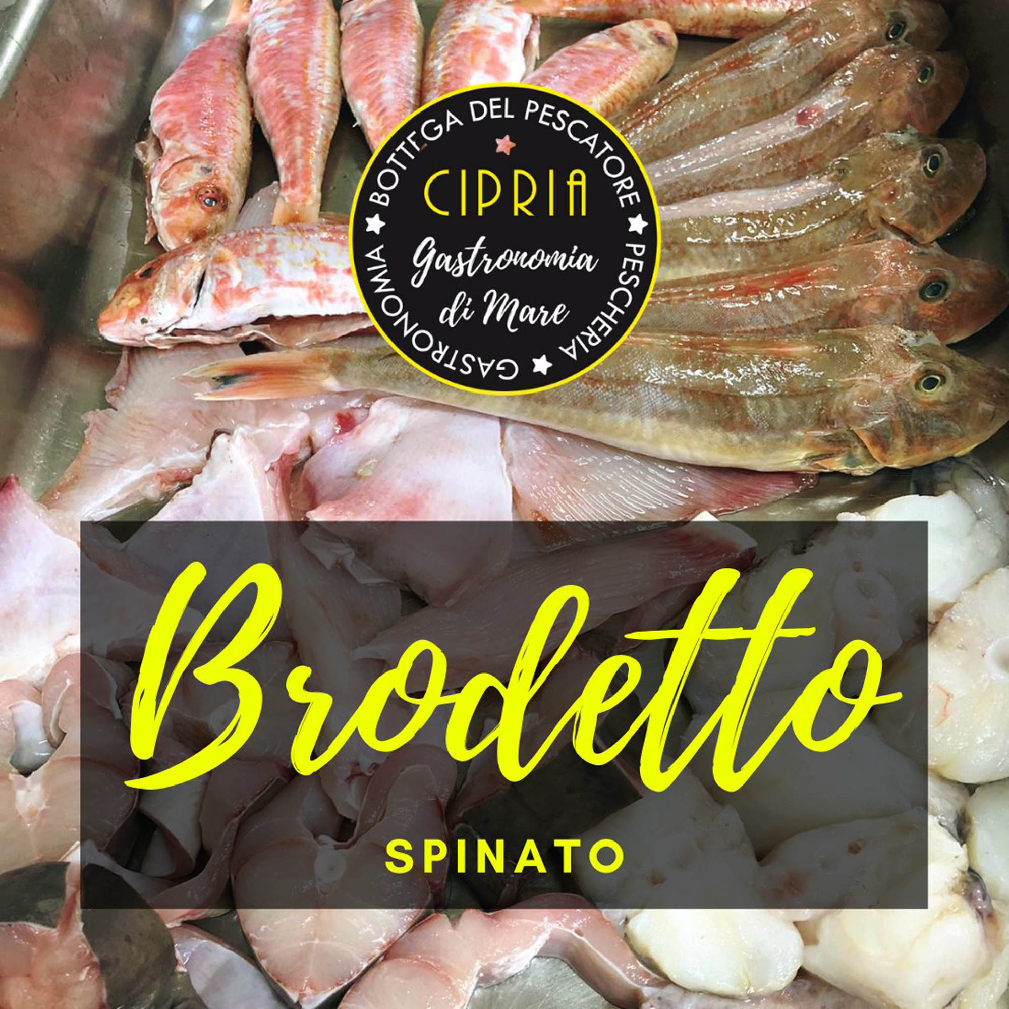 brodetto spinato brodetto spinato